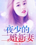 夜少的二婚新妻