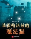 某魔法的霍格沃茨e
