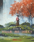 我在三国开无双 小说