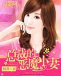 总裁的恶魔小妻子小说