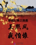 红楼梦穿越王熙凤