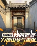 妻子四合院