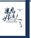 魔君小说免费阅读