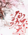 仙劫不灭txt百度云