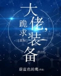 大佬，跪求装备！