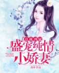总裁盛宠小娇妻全文