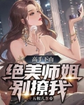 高手下山,绝美师姐别撩我免费阅读