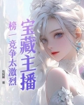 宝藏主播是哪个平台