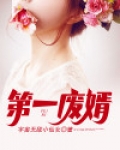第一废婿林凡