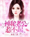 神 秘老公惹不起