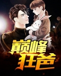 巅峰狂爸下载