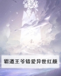 霸道王爷宠妃