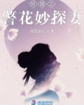 警花与侦探免费阅读