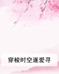 穿梭时空逐爱寻