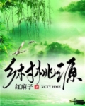 乡村桃源全文免费阅读