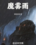 魔雾雨游戏王