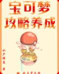 宝可梦攻略养成无防盗