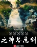 小说情剑风云诀剧情简介
