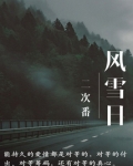 风雪日记