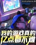 我的游戏真的亿点都不难 日万月万年百万 小说