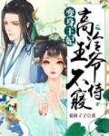 变身王妃:高冷王爷不侍寝