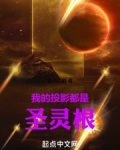 我的投影都是圣灵根