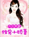 小说 天价宠妻