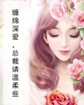 缠绵入骨总裁请签字