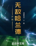 开局无敌哈兰德