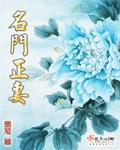 名门正妻 作者:油灯