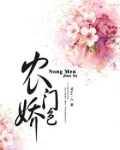 农门娇客 小说