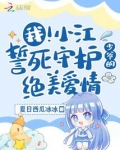 主角叫小江的小说
