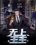 无上王主 小说