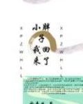 小胖子去哪了