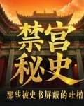 禁宫小说讲的什么