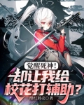 觉醒死神却让我给校花打辅助小说
