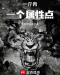 一斤肉一个属性点小说免费