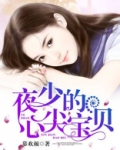 夜少的心尖宝贝 小说