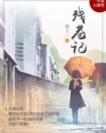 残巷记