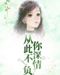 从此不负你深情 小说