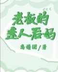 老板的迷人后妈小说阅读