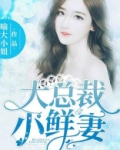 大总裁，小鲜妻！