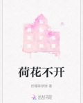 荷花不开花时是什么样子