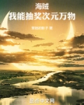 海贼:我能抽奖次元万物笔趣阁