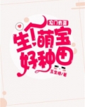 农门有喜:生个萌宝好种田 小说