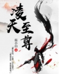 凌天至尊叶风