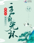 修仙后,她貌似有了主角光环小说