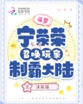 斗罗中宁荣荣