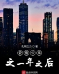 爱情公寓之以后的日子 小说