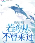 你从来不曾来过